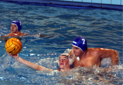image polo