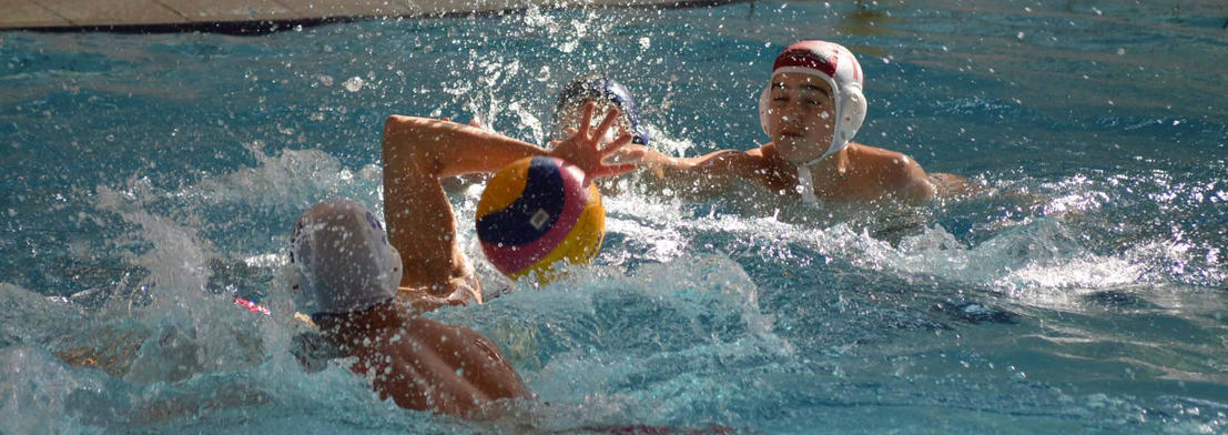 Water Polo CNF Fougères compétition.JPG